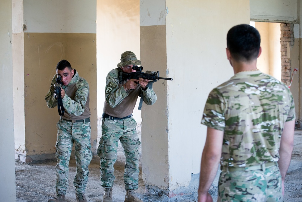 Georgian SOF trains conventional forces