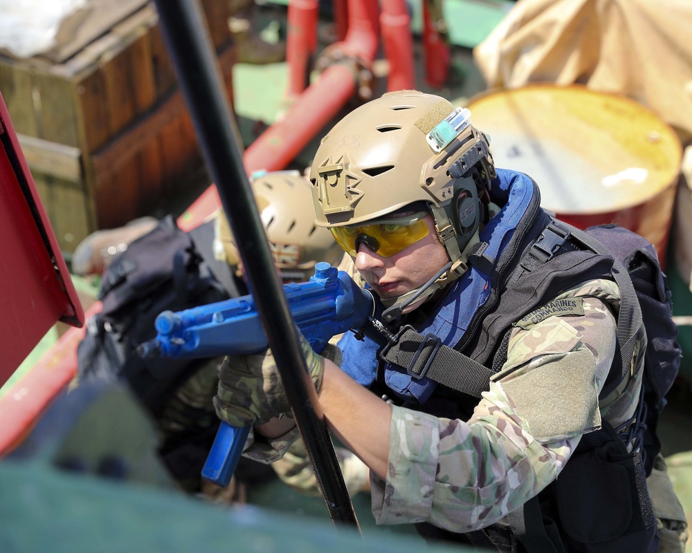 Training for the Royal Marines Boarding Team