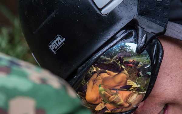 Cope Angel wings soar across mainland Japan