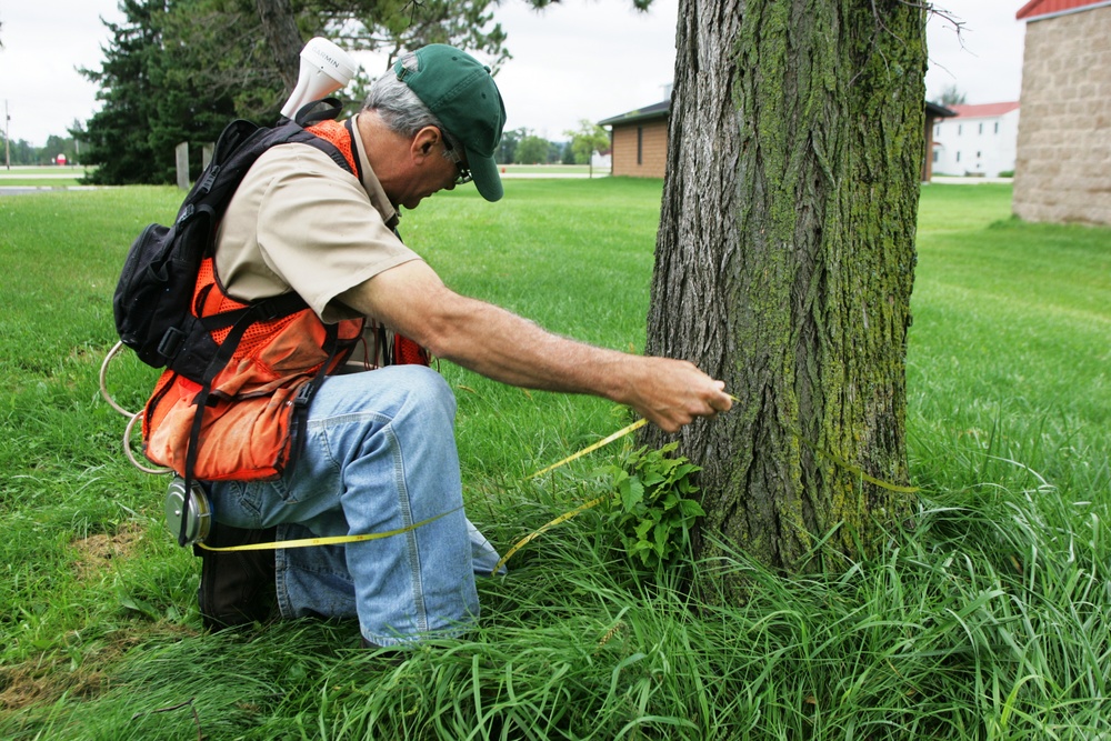 Forester Work at Fort McCoy