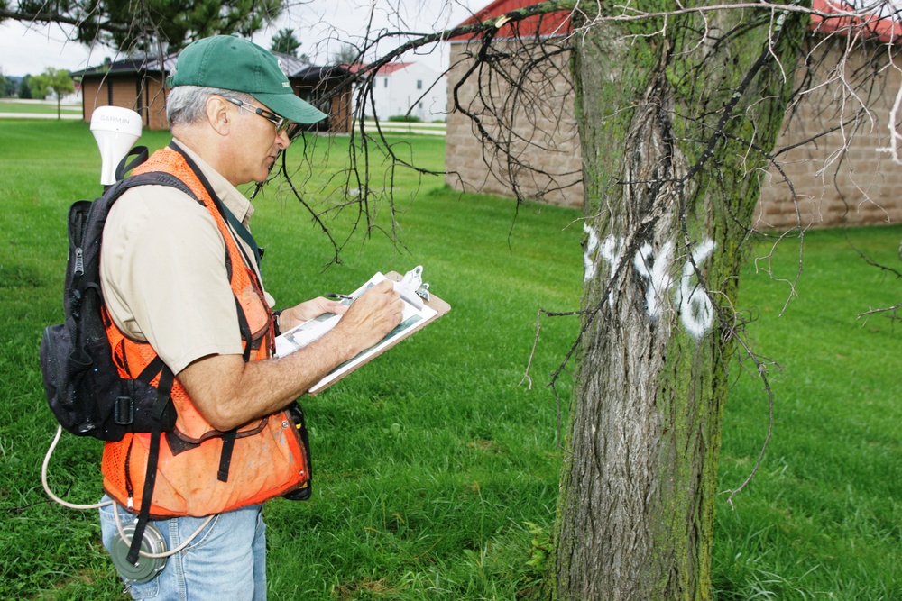 Forester Work at Fort McCoy