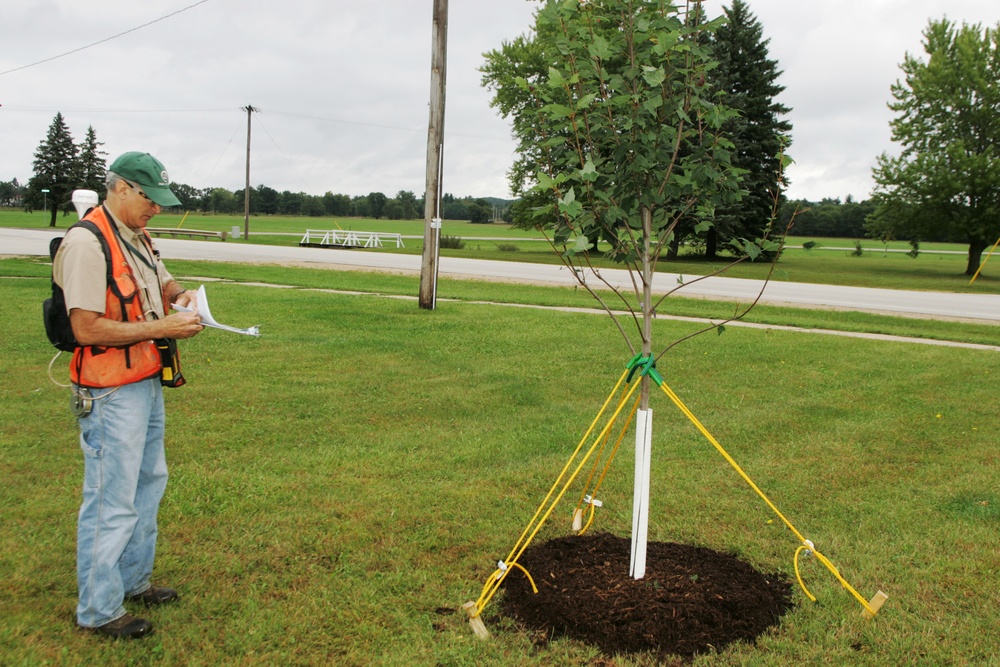 Forester Work at Fort McCoy