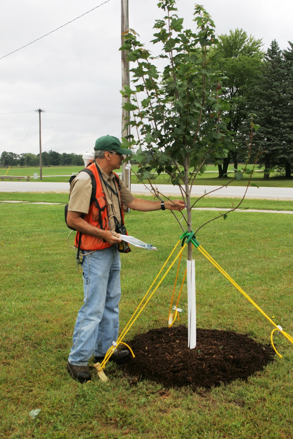 Forester Work at Fort McCoy