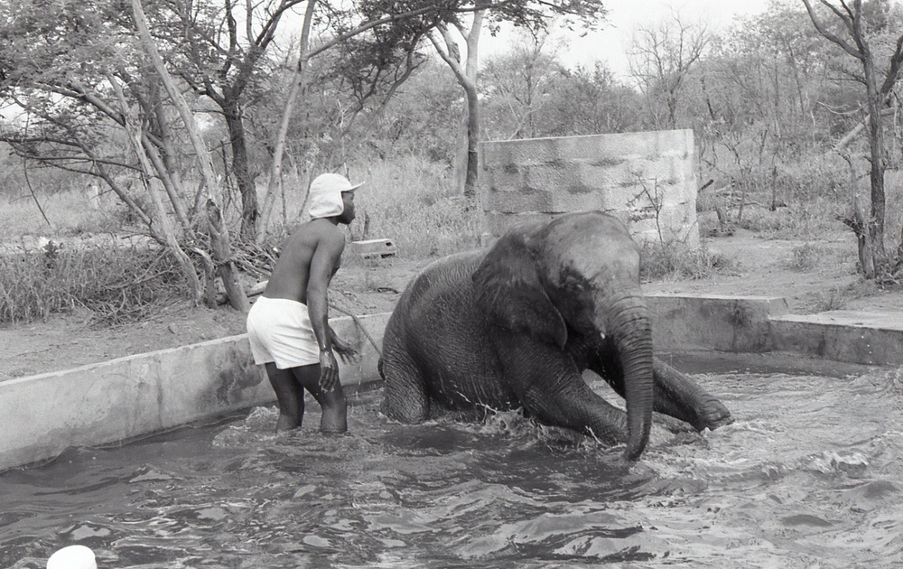 Africa People - Misc
