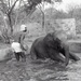 Africa People - Misc