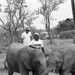 Africa People - Misc