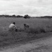 Africa People - Misc
