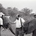 Africa People - Misc
