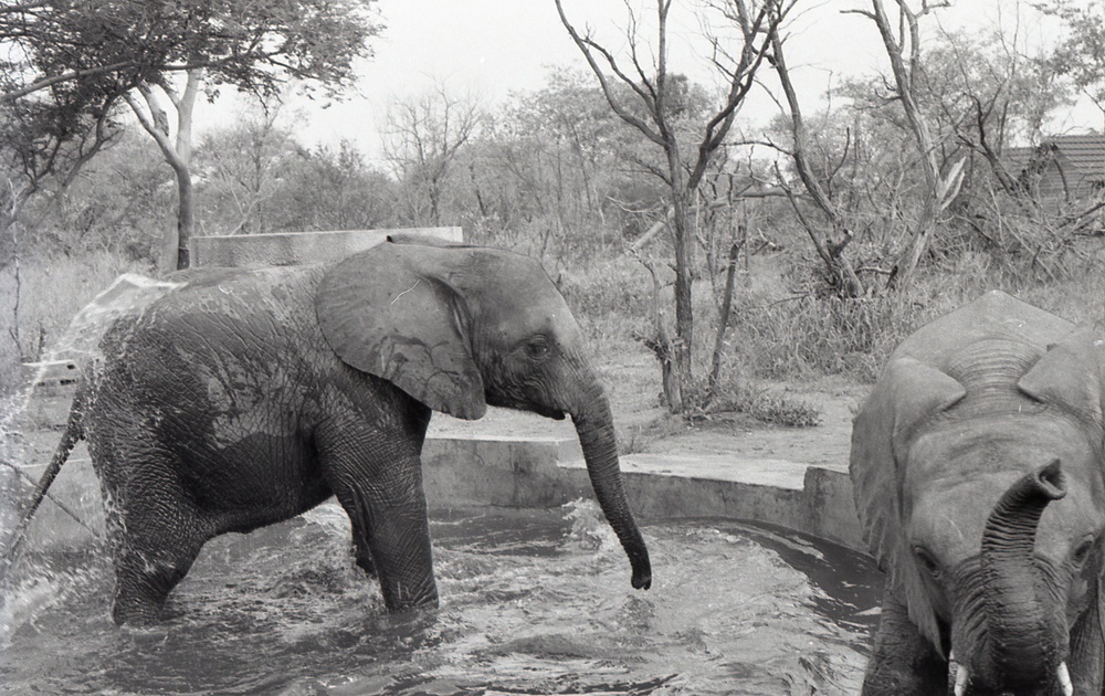 Africa People - Misc