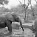 Africa People - Misc