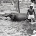 Africa People - Misc