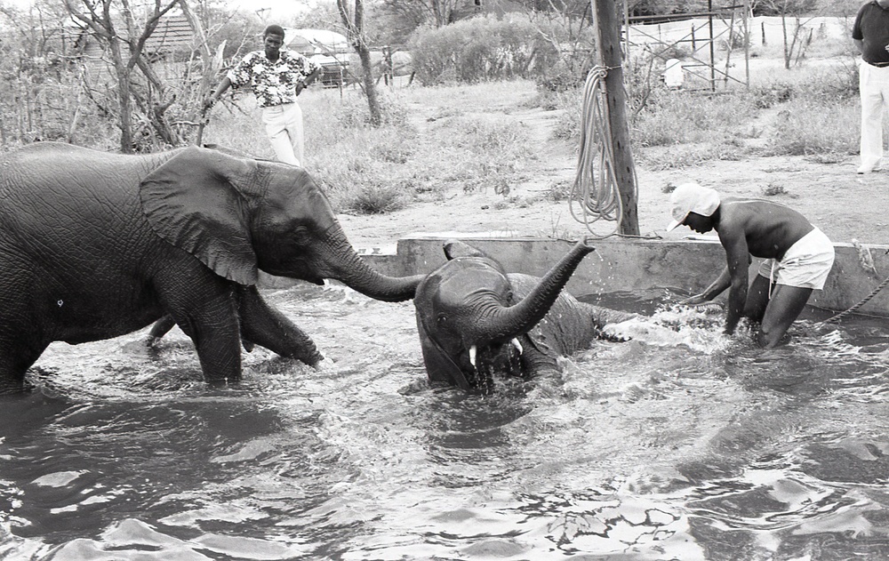 Africa People - Misc