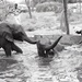 Africa People - Misc