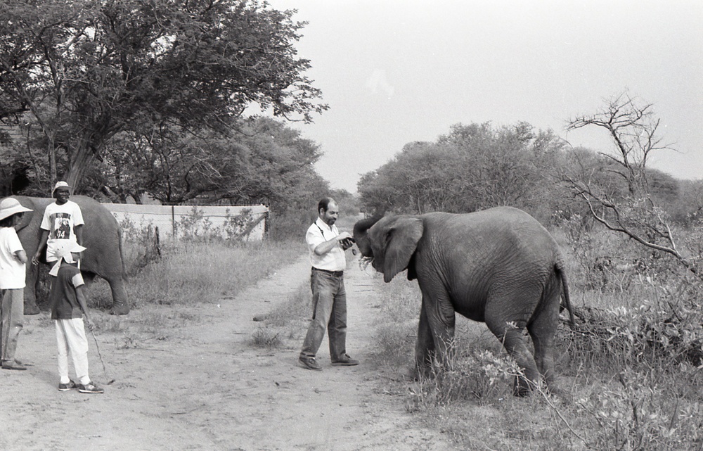 Africa People - Misc