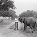 Africa People - Misc