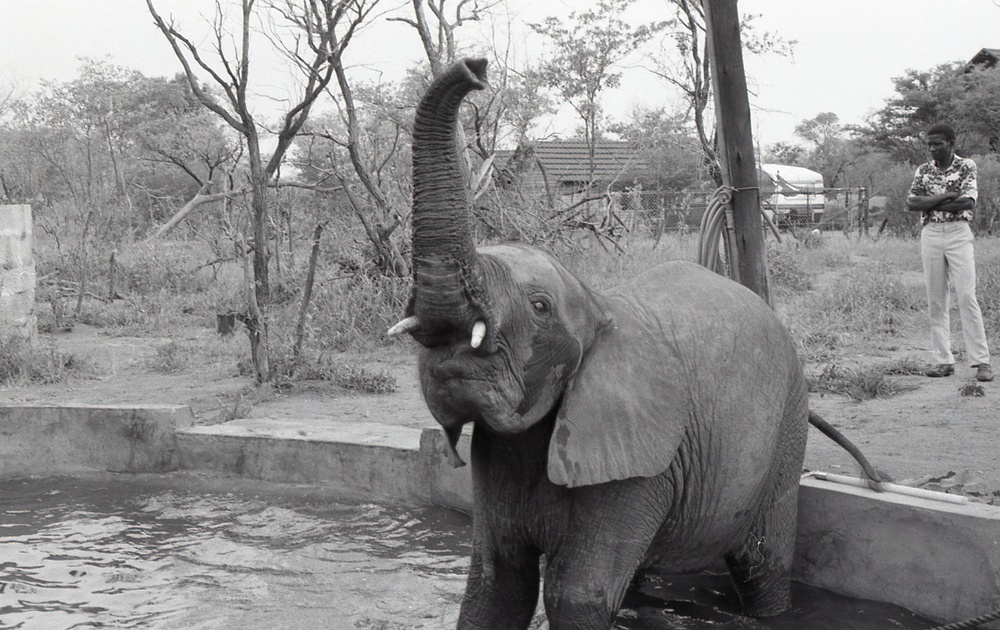 Africa People - Misc