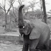 Africa People - Misc