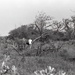 Africa People - Misc