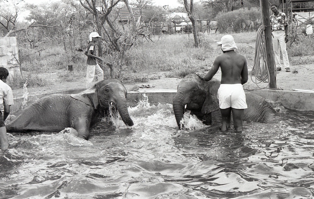 Africa People - Misc
