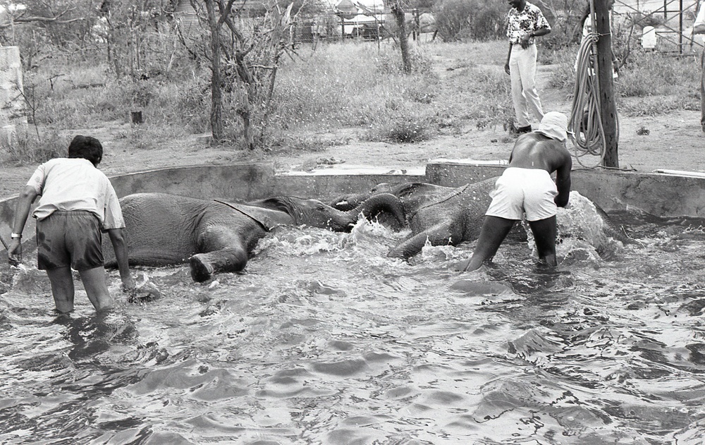 Africa People - Misc