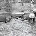 Africa People - Misc
