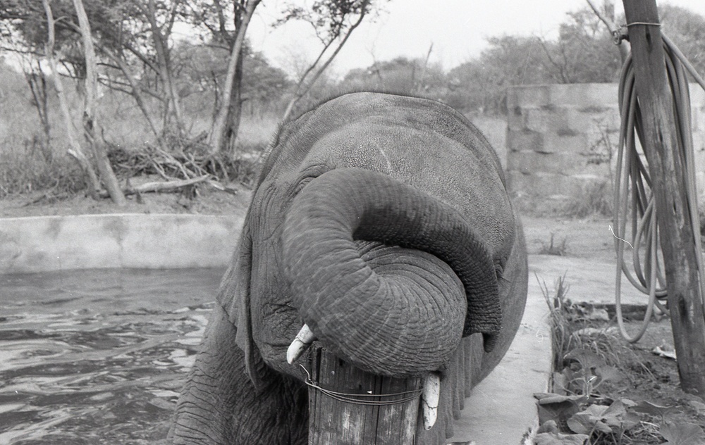 Africa People - Misc