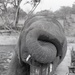 Africa People - Misc