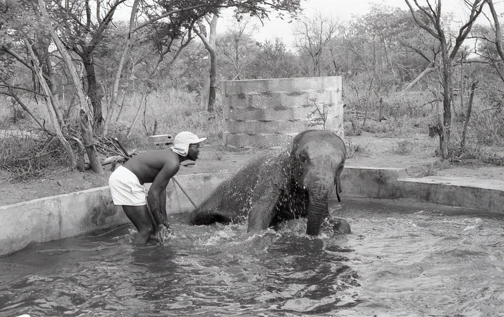 Africa People - Misc