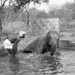 Africa People - Misc