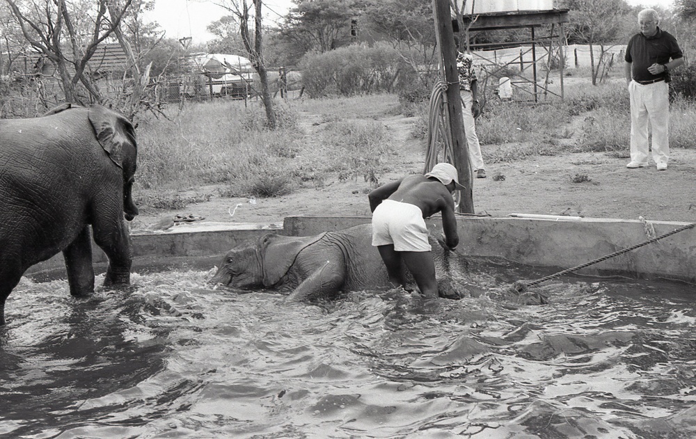 Africa People - Misc