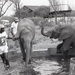 Africa People - Misc