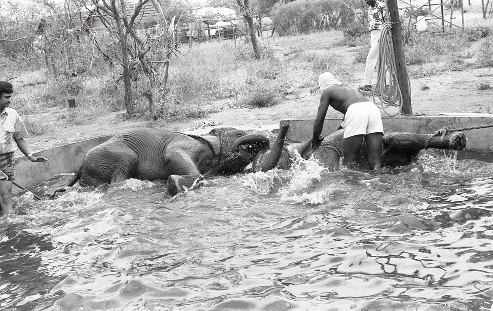 Africa People - Misc