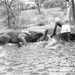 Africa People - Misc