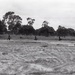 Africa People - Misc