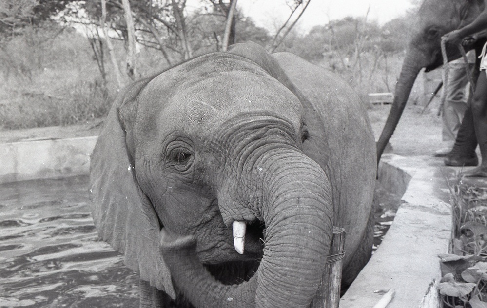 Africa People - Misc