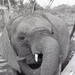 Africa People - Misc