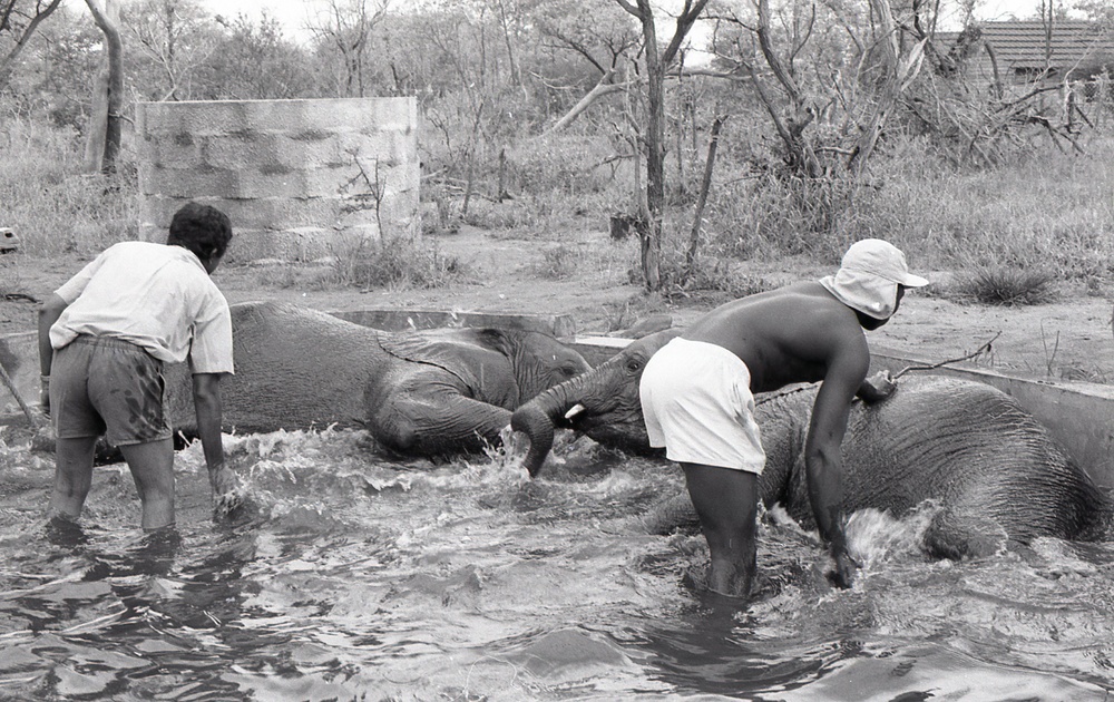Africa People - Misc