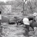 Africa People - Misc