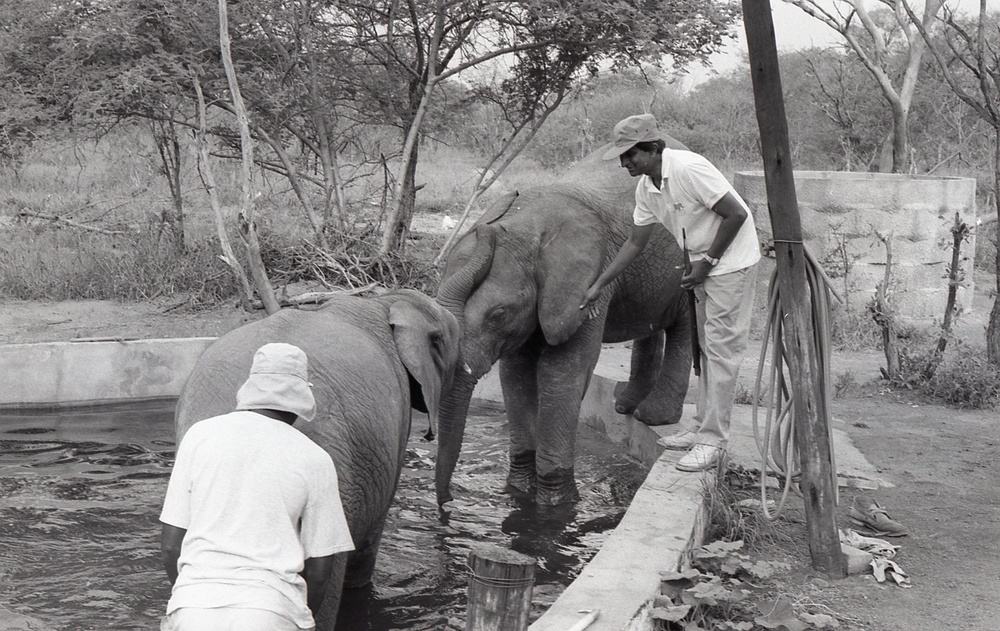 Africa People - Misc