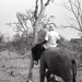 Africa People - Misc