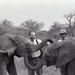 Africa People - Misc