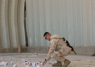 ITX 5-17/ LSE-17 RCT-8 Final Exercise R.O.C.