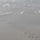 170807-N-XN499-101 170807-N-XN499-101