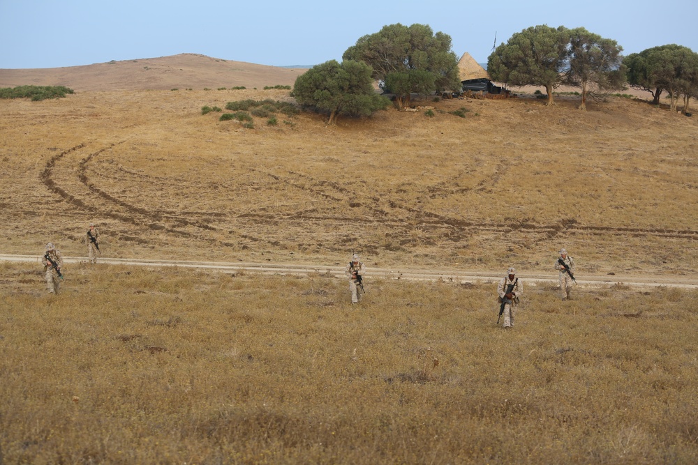 Marines Patrol as Part of Field Exercise