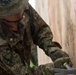 U.S. Marines integrate with Japanese Ground-Self Defense Force on demolition range during Northern Viper