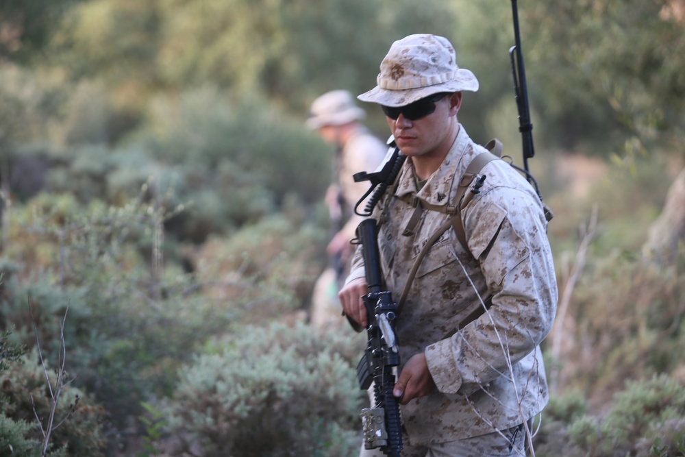 Marines Patrol as Part of Field Exercise