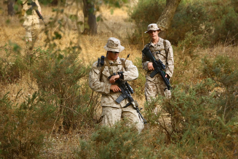 Marines Patrol as Part of Field Exercise