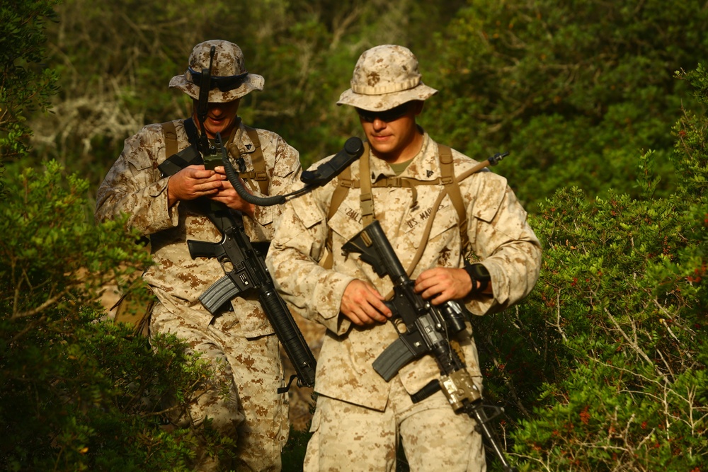 Marines Patrol as Part of Field Exercise