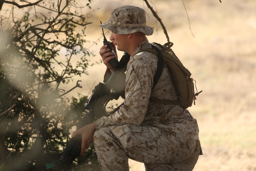 Marines Patrol as Part of Field Exercise