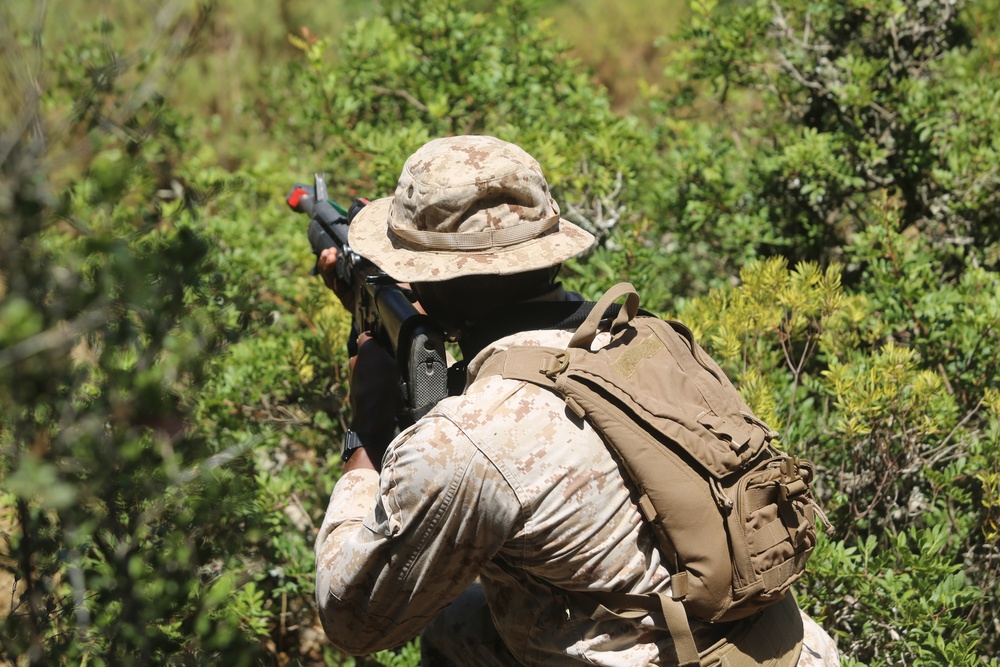 Marines Patrol as Part of Field Exercise